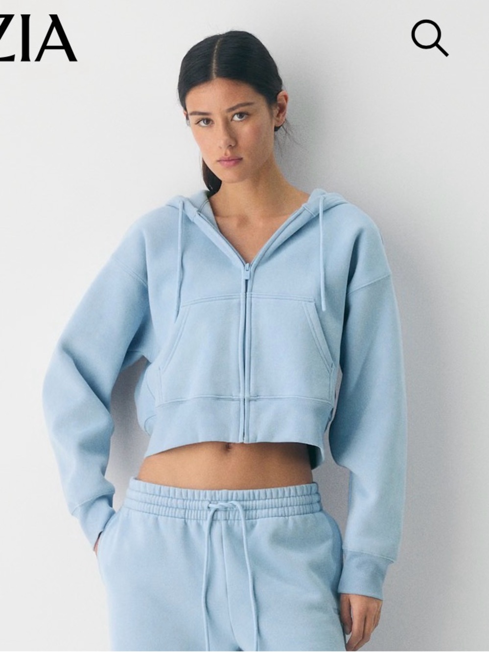 Aritzia Boyfriend Cropped Zip Hoodie - 2XS